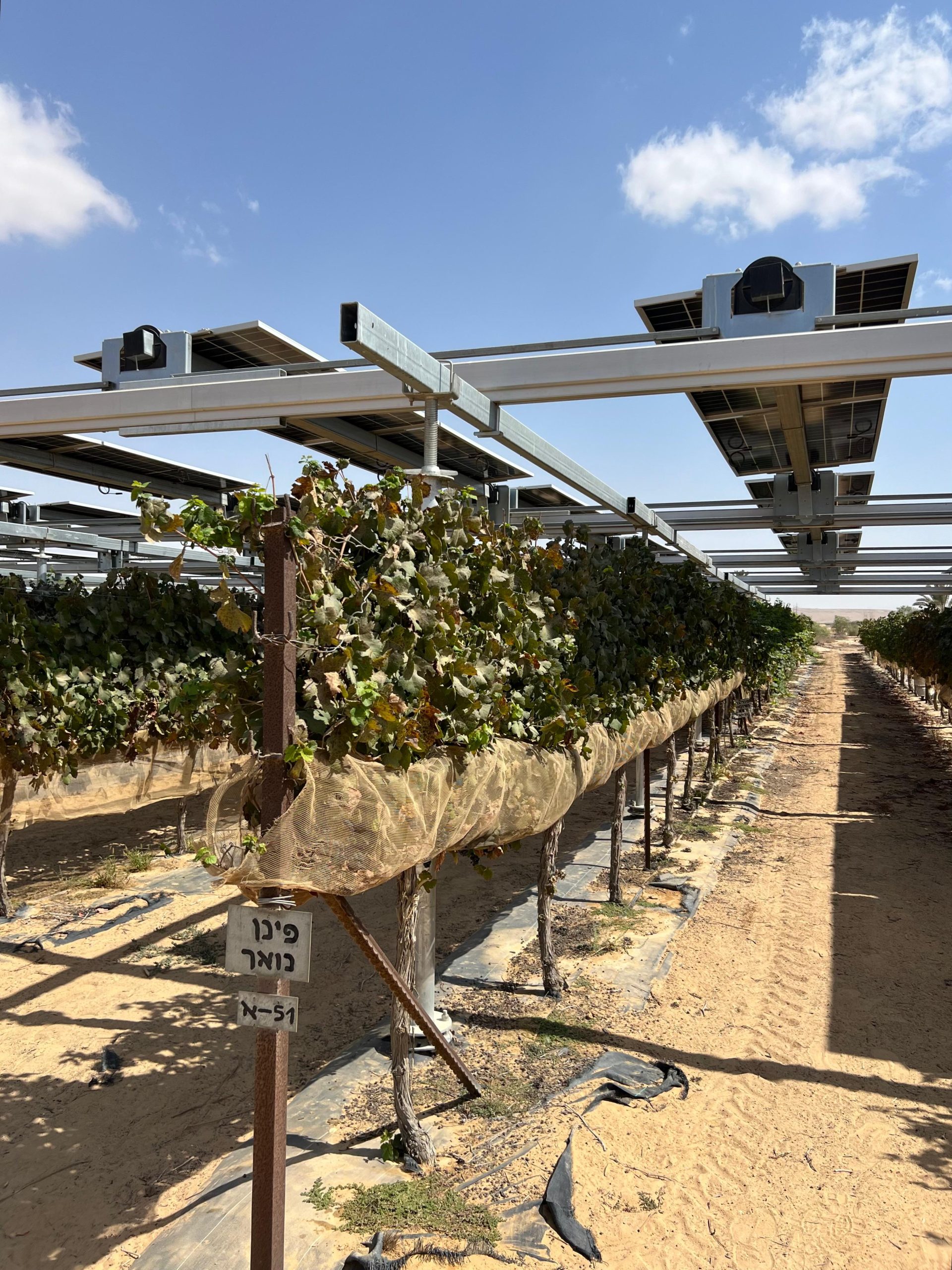 Portfolio follow-on investment